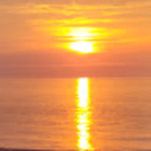 Meet your Posher, Lovely